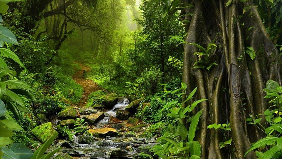 Demystifying Data Discovery and Enterprise Search in Product Lifecycle Management - Navigating the Product Data Jungle
