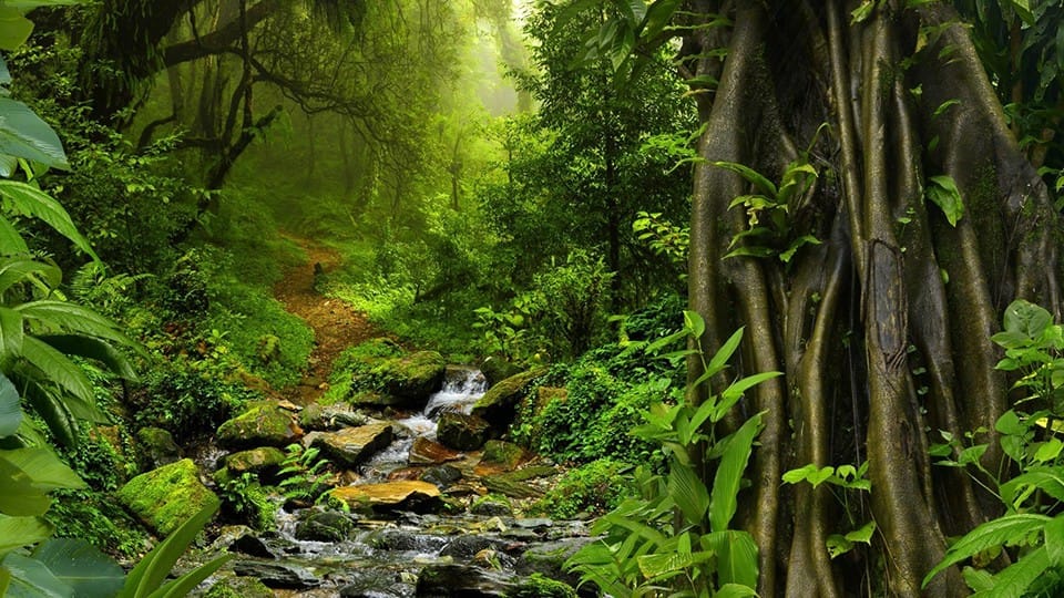 Demystifying Data Discovery and Enterprise Search in Product Lifecycle Management - Navigating the Product Data Jungle